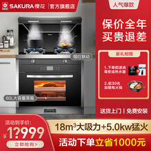 樱花（SAKURA）002C19集成灶蒸烤箱一体灶下排式家用自动清洗集成灶 002C19【烟灶蒸烤四合一】天然气