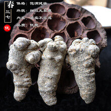 康中尊 三七  20头30头40头 三七云南文山  500克 田七  三七粉 40头40个无剪口500克