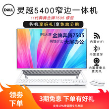 戴尔(DELL)灵越AIO5490/5400 23.8英寸一体机台式电脑 网课学习财务办公大屏电脑 银 11代 G7505 8G 256G 核显 定制 23.8英寸一体机