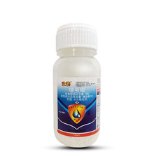 沃德伊诺 众合牌 欢泰 30%噻虫嗪 番茄苹果白粉虱蔬菜水稻稻飞虱蓟马蚜虫农药杀虫剂  100克/瓶 100克 /瓶1瓶