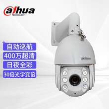 dahua大华 球机摄像头 30倍变焦 400万智能声光警戒球机 红外夜视 音频报警球机 DH-SD6C84FX-GNP(ZJ)-A