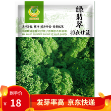凤鸣雅世 食用羽衣甘蓝种子羽衣甘兰抗病耐寒高端羽衣甘蓝种籽春秋季蔬菜种孑食用观赏紫色蔬菜种籽四季盆栽 绿翡翠羽衣甘蓝种子100粒 菜种子