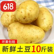 2020新鲜黄皮土豆10斤现挖马铃薯农家黄心土豆农家5 带箱4.8斤