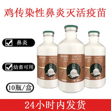 鸡传染性鼻炎灭活苗嗜血杆菌A型鼻炎疫苗沃华鸡疫苗 瑞普鼻炎一瓶价格