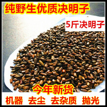 迪士尼品牌官方旗舰新款决明子玩具沙池套装儿童玩沙子沙滩玩具宝宝家用围栏彩沙石玩沙子玩具沙户外散装 5斤决明子【去尘 去杂质 抛光 已】