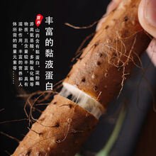 焦作温县铁棍山药正宗怀山药铁杆山药新鲜蔬菜河南特产 粉糯香甜 5斤精选温县铁棍30-40