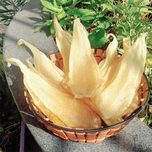 康中尊 鱼胶25头33头40头57头野生印尼白花胶开片精选原装公司清水货 33头/斤印白靓货：250克17只