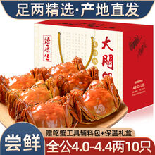 【10只装】大闸蟹全公母六月黄螃蟹镇海鲜水产生鲜 全公蟹：4.0-4.4两(10只)