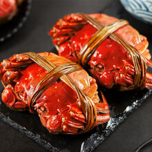 大闸蟹 鲜活特大公母蟹螃蟹六月黄现货礼盒装海鲜水产 罗菲迪新 【16只装】1.5-2.0两