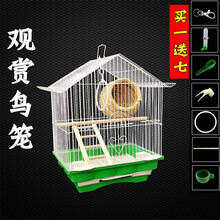 鹦鹉鸟笼 虎皮牡丹别墅笼子文鸟珍珠小号铁艺金属屋顶观赏小鸟笼 屋顶102鸟笼套餐木梯加草窝