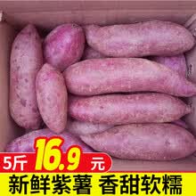 【平价菜场】农家紫薯地瓜 小香薯香芋香甜软糯 新鲜蔬菜 5斤小果精选（买2件合并发9斤）