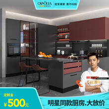 【张继科推荐】欧铂丽现代简约整体厨房橱柜定制厨柜小户型一体灶台柜西厨岛台柜 定制金 锁定欧铂丽正价产品专享优惠