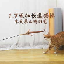 Petio 派地奥 猫玩具逗猫棒 幼猫磨牙玩具 木天蓼山鸡羽毛逗猫玩具 替换头 山鸡毛