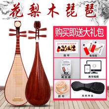 成人琵琶 初学民族乐器硬木红木练习琴演奏琵琶厂家直销 演奏级花梨木儿童琵琶