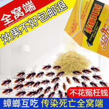 除杀蟑螂药一窝端灭蟑螂室内去蟑螂克星贴厨房家用蟑螂屋 50包杀蟑饵剂药粉【超值】 收藏产品关注店铺享优先发货