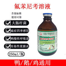 鸭药鸭浆膜炎药禽大肠杆菌跛行水样拉稀黄绿白痢发烧氟苯尼考溶液 1瓶价