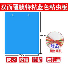 溪沫 双面加厚特粘诱虫蓝板粘虫板黄板果园茶园大棚家用等灭多种小飞虫 100张双面覆膜加厚特粘蓝色20x25