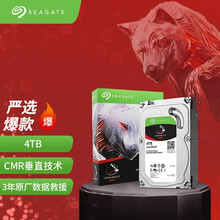 希捷(Seagate) NAS硬盘 4TB 64MB 5900转 PMR CMR垂直磁记录 网络存储 SATA 希捷酷狼IronWolf ST4000VN008