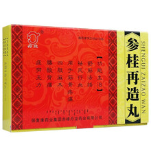 丹龙 参桂再造丸 7g*10丸 1盒装