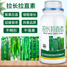 辣椒茄子黄瓜拉长拉直素豆角丝瓜苦瓜防落拉直药膨大剂叶面肥 拉长拉直素500ml/瓶