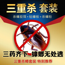 洁强兵杀蟑胶饵绿叶除杀灭蟑螂药粉粘蟑板安全环保全窝端