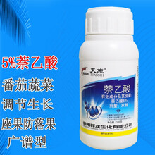 祥龙 天施 5%萘乙酸水剂 促生长诱导定根促座果防落果 番茄蔬菜绿植果树农用植物生长调节剂 100克/瓶*10瓶