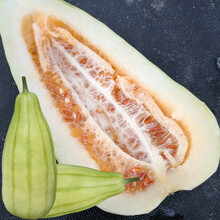 寿禾 羊角蜜甜瓜种子羊角蜜香瓜瓜脆甜新羊角蜜羊角酥甜瓜苗 酥脆汁多超甜春季高产羊角脆寿光种籽种苗 【绿色条纹】中蔬赤子牛甜瓜种子 5g