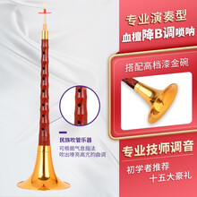 宏艺凤鸣专业血檀木唢呐D调小叶檀炫彩碗乐器全套专业成人演奏级乐器喇叭收藏级 专业版血檀降B调+十五大赠品
