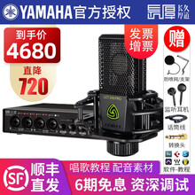 YAMAHA雅马哈录音K歌声卡UR44C乐队电脑手机直播套装 混音编曲音乐制作设备专业USB音频接口 UR44C搭配莱维特 LCT249话筒套装
