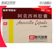 阿莫仙阿莫西林胶囊0.5g*48粒/盒皮肤软组织中耳炎淋病泌尿道感染钩端螺旋体病咽炎皮肤软组织感染上 4盒装