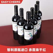 超市	
智利原瓶原装进口红酒 安第斯翠鸟 进口干红葡萄酒 750ml 六支装整箱 赤霞珠