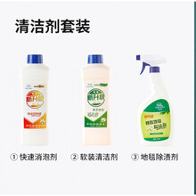 皮谱沙发清洗机 地毯清洗机商用家用小型窗帘布艺沙发多功能三合一喷抽吸干洗一体 清洗剂