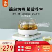 鸣盏煮茶器养生壶 花茶迷你办公室小型全自动家用mini煮茶壶玻璃壶黑茶电水壶热水壶烧水壶072T 青瓷色