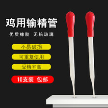 鸡用输精管 养鸡场免疫滴管养殖种鸡一次性输精管 鸡人工授精器材 10支