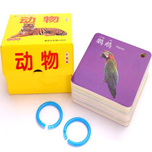凯柯锐玩具撕不烂超厚防水早教卡片多款选择打孔带环提高认知逻辑思维益智早教男女礼物 升级版动物(45张卡片打孔带2环)
