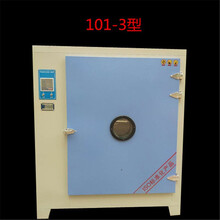 101系列恒温电热鼓风干燥箱工业烤箱实验室汽车大灯轮毂烘箱  101-3内部尺寸600*500*750