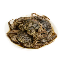 宁波特产个个有膏的醉毛蟹大醉蟹生腌酱毛蟹大闸蟹酱螃蟹即食罐装