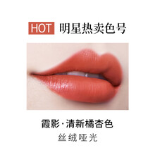 美康粉黛丝绒唇釉雾面哑光女学生款平价小众品牌唇彩烂番茄色口红  多种颜色选择 霞影