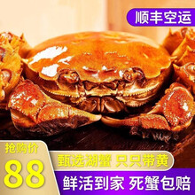 【活蟹】 大闸蟹鲜活 六月黄全公蟹 全母蟹 喜鲜德 公母配对鲜活稻田蟹 现货江苏大螃蟹 河蟹海鲜水产 六月黄 1.5-1.0两 【共20只】