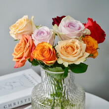 远方的花 玫瑰花向日葵生活鲜花速递 随机色玫瑰10枝（单色发货）