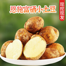 恩施富硒小土豆高山黄心马铃薯洋芋新鲜蔬菜云南红皮土豆 恩施富硒土豆9斤