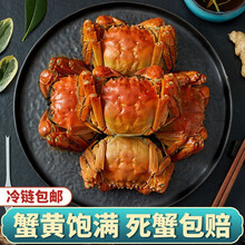 【活蟹】现货蟹品煌大闸蟹 大蟹 六月黄 特大鲜活的大蟹 生鲜 螃蟹水产河蟹 活体实物全公母大闸蟹 六月黄大闸蟹1.3-1.6两 八只礼盒装