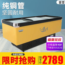 【老牌国货】雷雪 岛柜 冰柜商用展示柜冷藏冷冻柜 大容量商用冰柜展示柜 欧式岛柜 平岛2500*1000*910