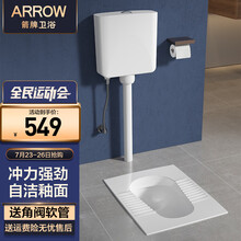 箭牌卫浴（ARROW）蹲便器带水箱套装陶瓷大便器防臭蹲厕整套蹲坑便池带存水弯蹲便器水箱组合官方精选 C款-后进前出带存水弯带水箱