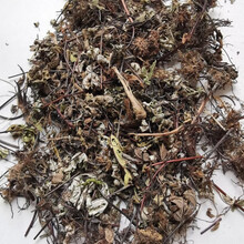 通经草新货  金牛草  通筋草 产地直发 中药材店铺批发 产地直发 精选1000g两斤装