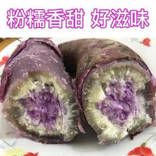 冰淇淋红薯新鲜红蜜薯超甜糖心地瓜小红薯红心沙地一点红番薯 【实发5斤】小果
