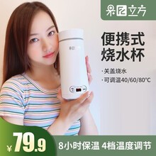 烧水杯迷你电热水杯便携式旅行小型烧水壶出国出差小容量电热水壶随行冲奶泡茶保温电煮水壶家用办公室果立方 A2款：四档调节保温+可关盖烧水 111