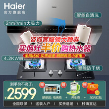 【海尔旗舰店】海尔欧式油烟机 21立方家用大吸力顶侧吸抽油烟机灶具套装热水器自清洁免清洗挥手感应控制 【两件套】自清洗烟机+4.2KW防干烧灶具/液化气