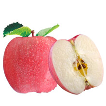 【静宁苹果】红六福 静宁苹果红富士甘肃特产生鲜水果 12枚80#单果约240~300g