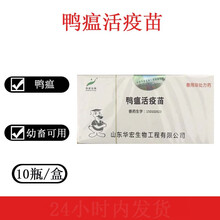 禽药鸭疫苗 鸭瘟活疫苗 鸭药 禽药兽药鸭病华宏鸭瘟疫苗500羽